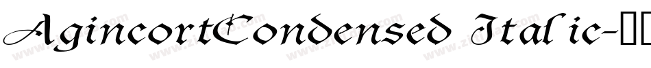 AgincortCondensed Italic字体转换